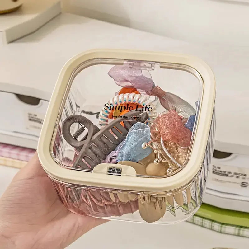 Clear Storage Box